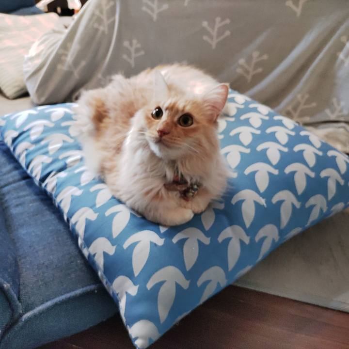 B5f5309f 5de5 4738 b45f edac165c4373 1705190528394