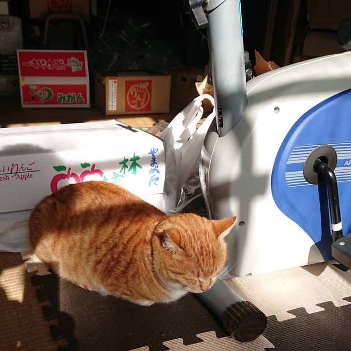 B5f5573c 2bf7 43ff 9c12 ea4dd55fd4e7 1577854214855