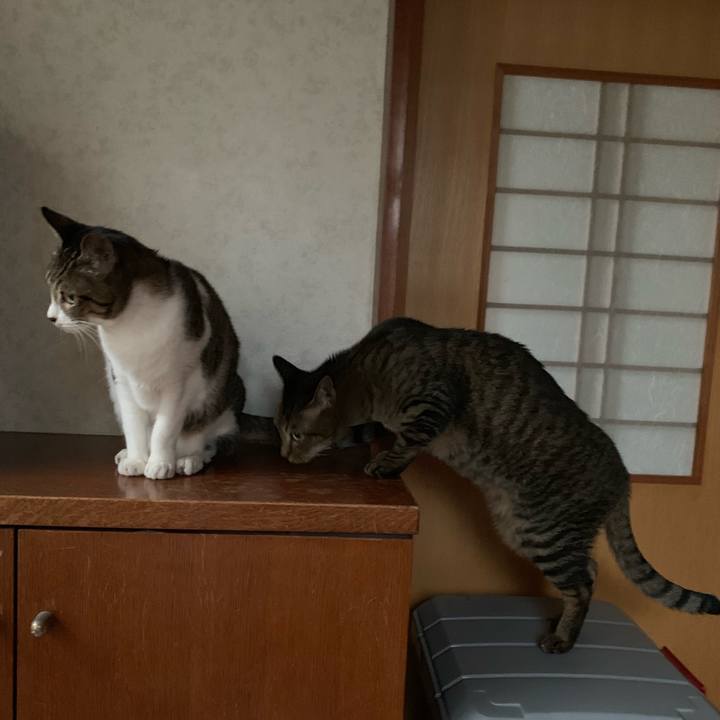 B5f573ce f4f8 4f9d a77e 48f88f53f1e1 1545781553912