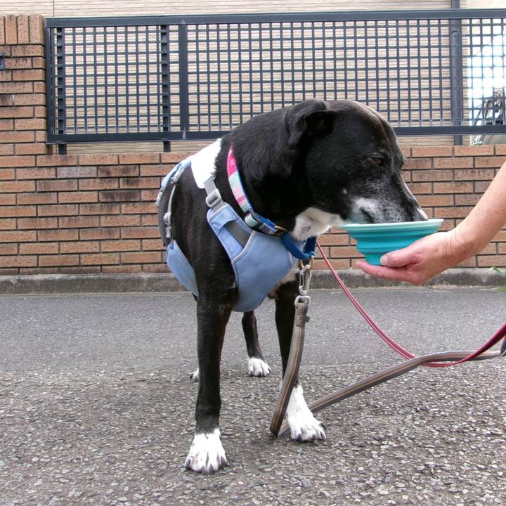 B5f5dccc 04ed 4b67 9376 7063fefe1d02 1754181129605