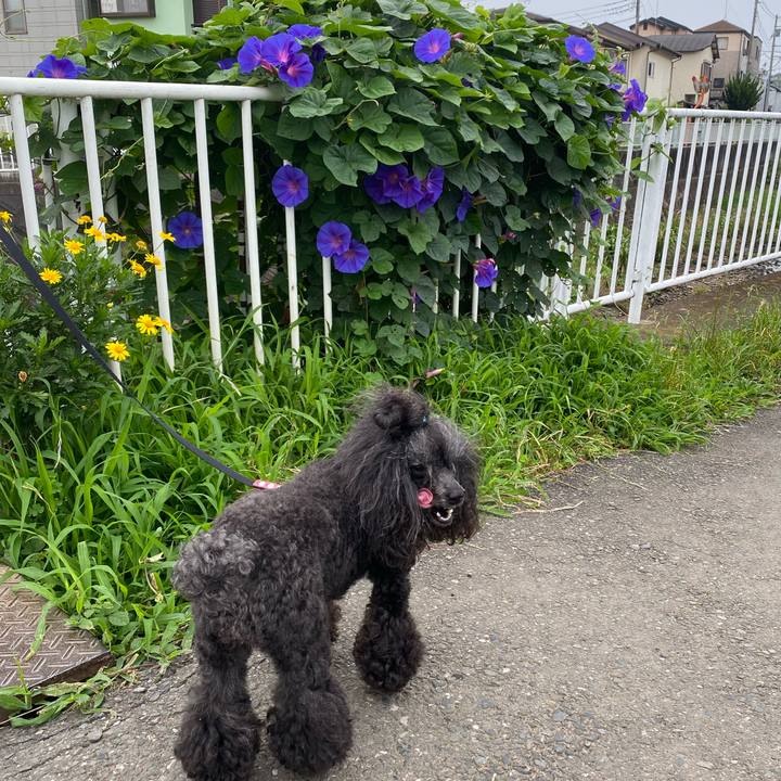 B5f5ee9d 1c94 4804 aac5 cc644ad2e8b4 1687817174101