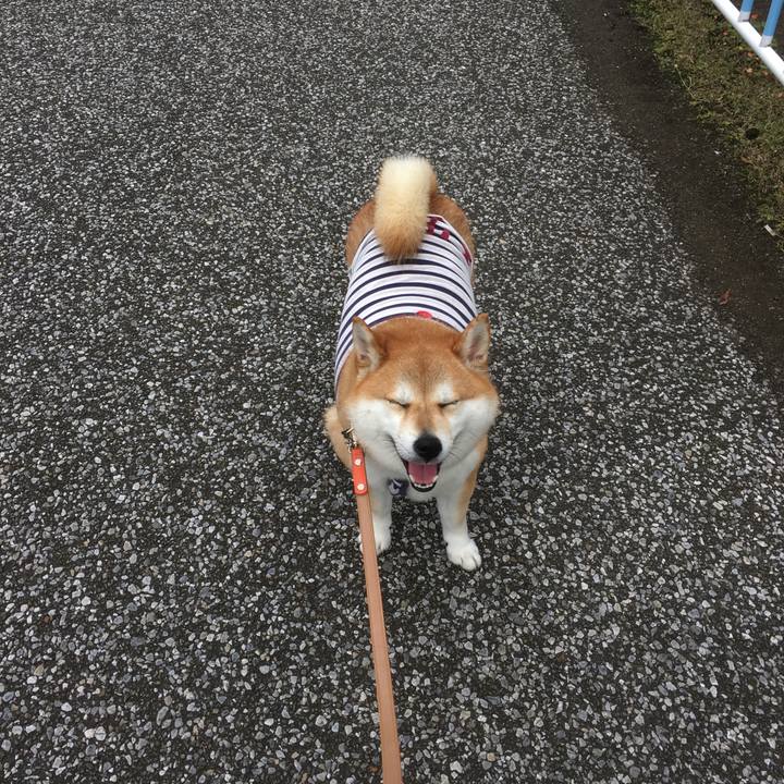 B5f611ad 6f01 4435 9d20 82d06f1f0697 1541395742108