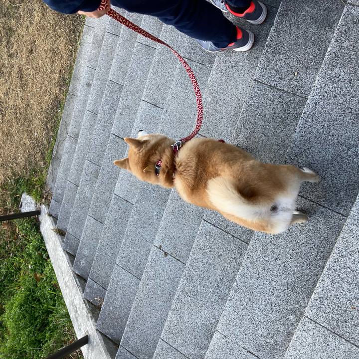 B5f64f7e c207 4132 84c7 ac66de1ae15d 1613309813060