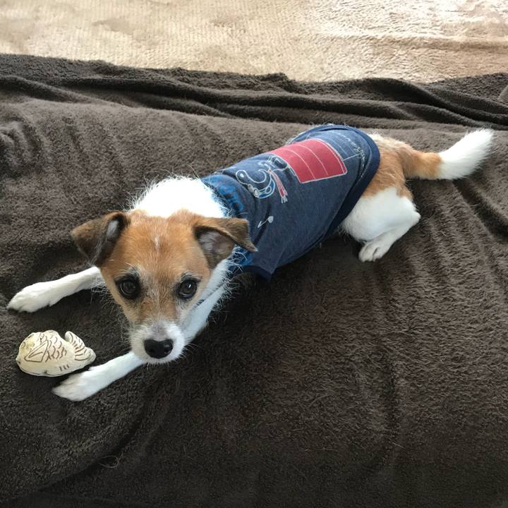 B5f65262 7834 476d ae56 e14bcd5df82f 1533871289687