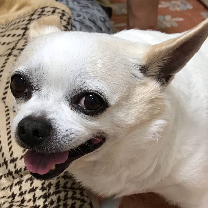 B5f65331 1ad4 4507 a035 4e3550f19171 1557105425739