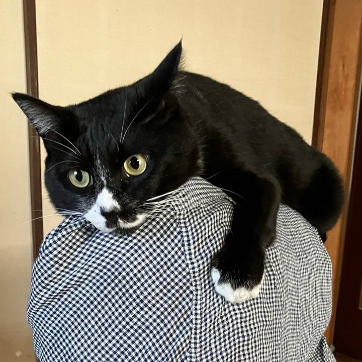 B5f67922 ddd6 4ab3 af85 a524861165db 1733463100794