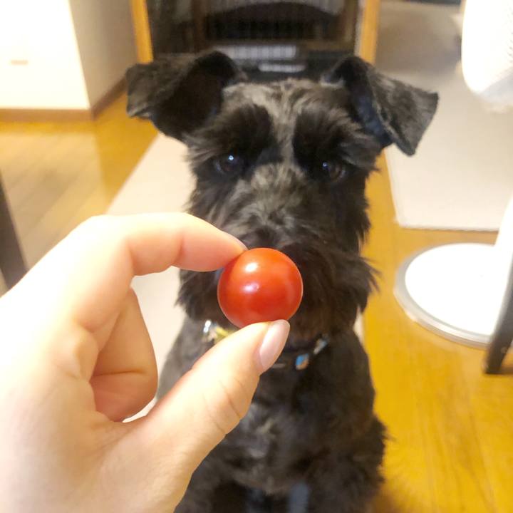 B5f6c9b2 c195 45ac 89fc 9fd06ca73b31 1577172960566