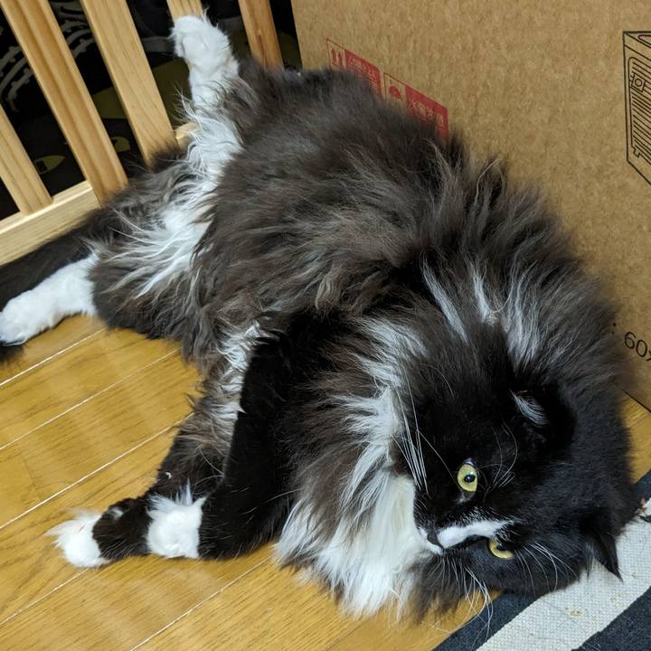 B5f6edf9 0768 48a3 b939 41d5157353bb 1691458655573