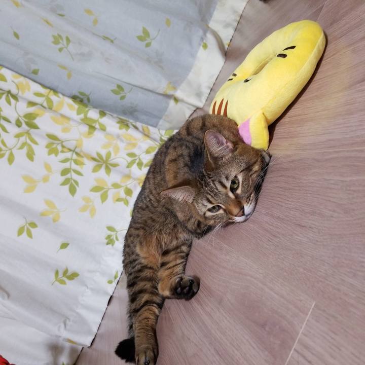 B5f6f73a d0e6 4767 805b 036dba07f663 1583411090109