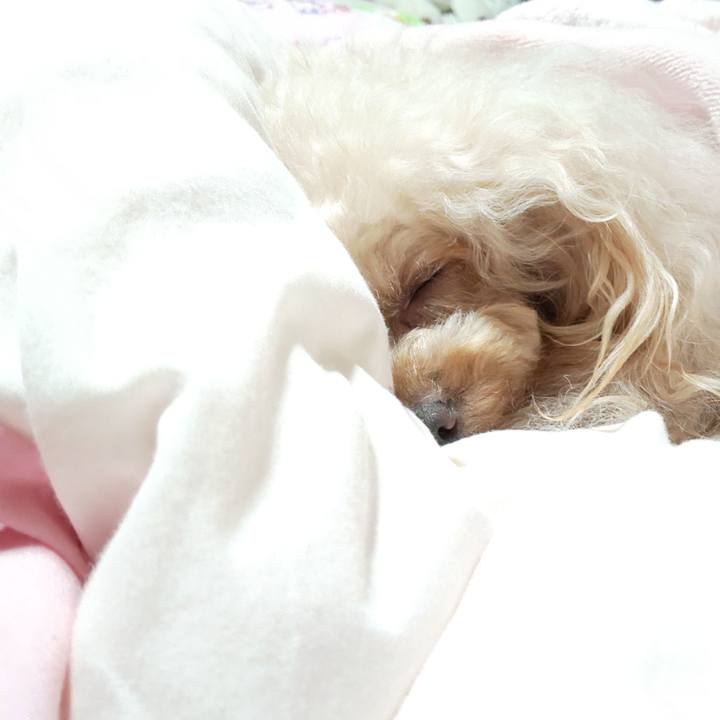 B5f704fc 50d2 4461 a50e 8ccb38eeb8d6 1575983679843