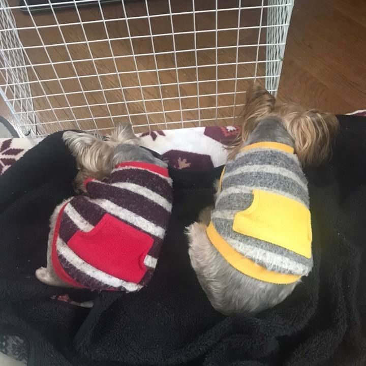 B5f74b27 85f7 4545 bb17 87c663bbf1fd 1586165437047