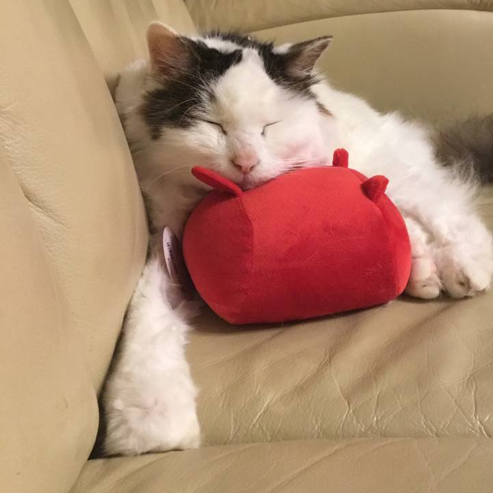 B5f7557e edff 41bc b2fc be0ce873adf7 1573658074789