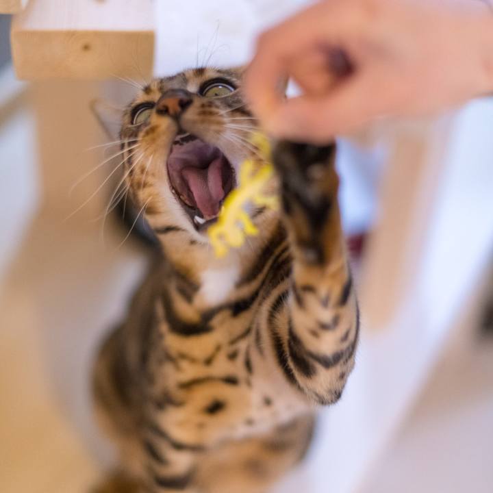 B5f759f2 bb87 4b3c b640 262af3e3b794 1520825007524