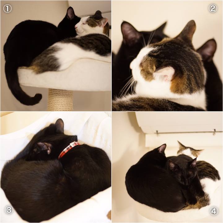 B5f76d89 52fb 4c47 aa7c 39640028be04 1519309086630