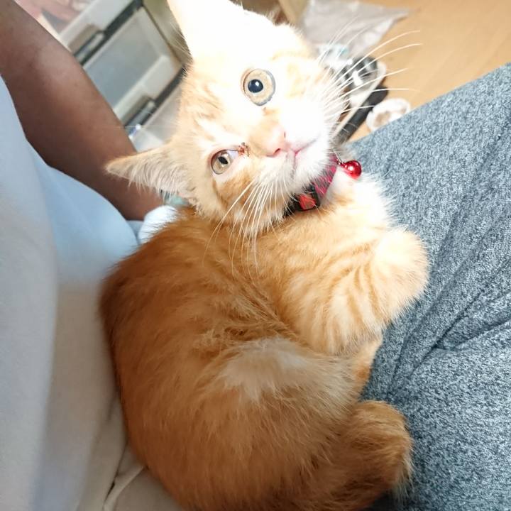 B5f7b0d1 8394 4df3 a2b0 151d5f6bbdb7 1629238852739