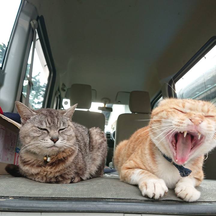 B5f7bef6 0a16 4365 a57d ef33b4fdf688 1563269106407