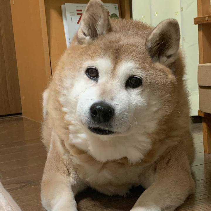 B5f7f961 cadb 4da6 97d5 00102b6d5a0d 1612786300677