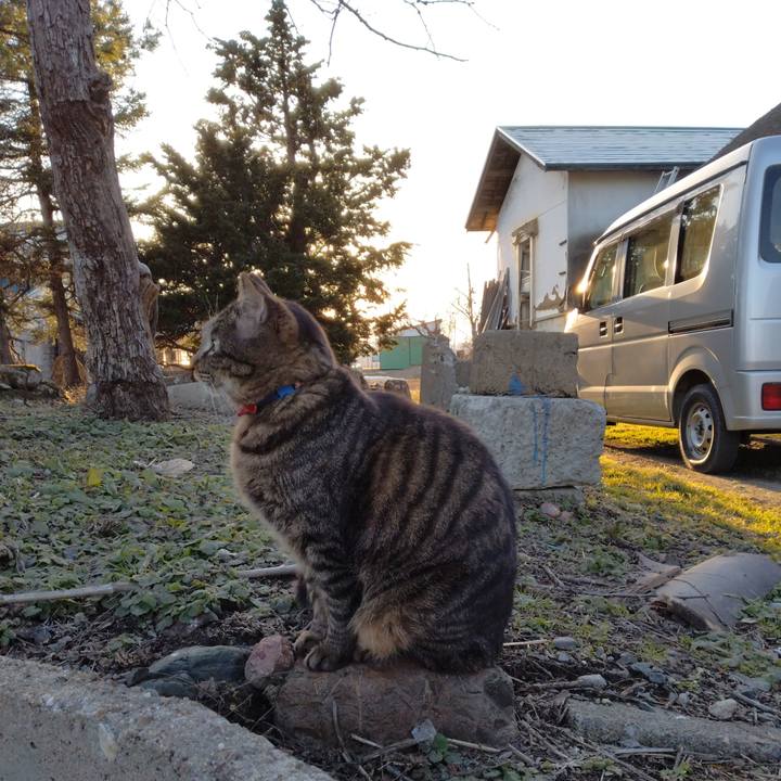 B5f8443e d5d1 48f4 9939 0522487508f2 1679300971980