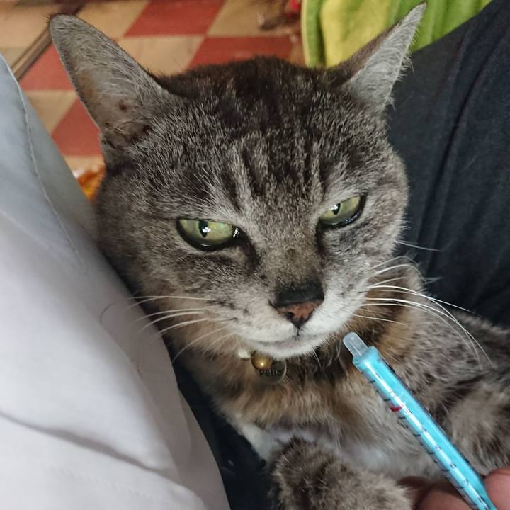 B5f893dd a7fe 465f aa47 30f4c4399c93 1589320199107