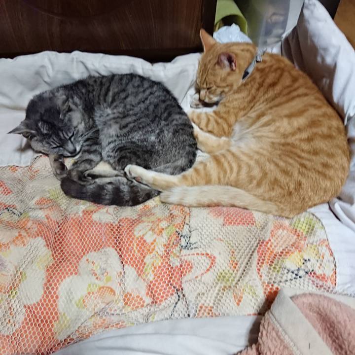 B5f8c0db 1443 47c0 ad7b e7b6d8be061b 1591364361728