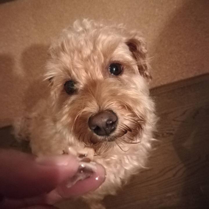 B5f8e9f9 5e99 4ae1 ae26 436661ab63b2 1535630559035