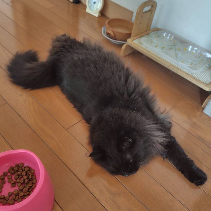 B5f937f4 f9e7 4e36 9dcc eaae8ae522d0 1729723939830