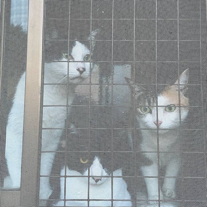 B5f95283 8883 4a7a a1cd 18d737671623 1720558534510