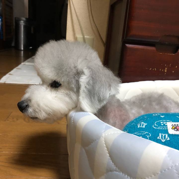 B5f95c76 8373 4a59 b44a c8292b348191 1621951563638