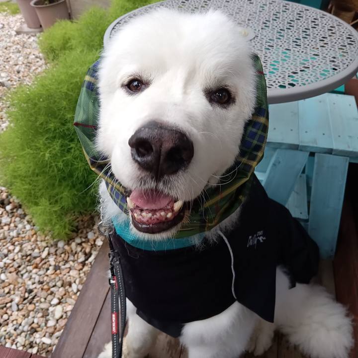 B5f95fa4 6a0d 4d96 bae8 dab7aae2e28b 1719833894325