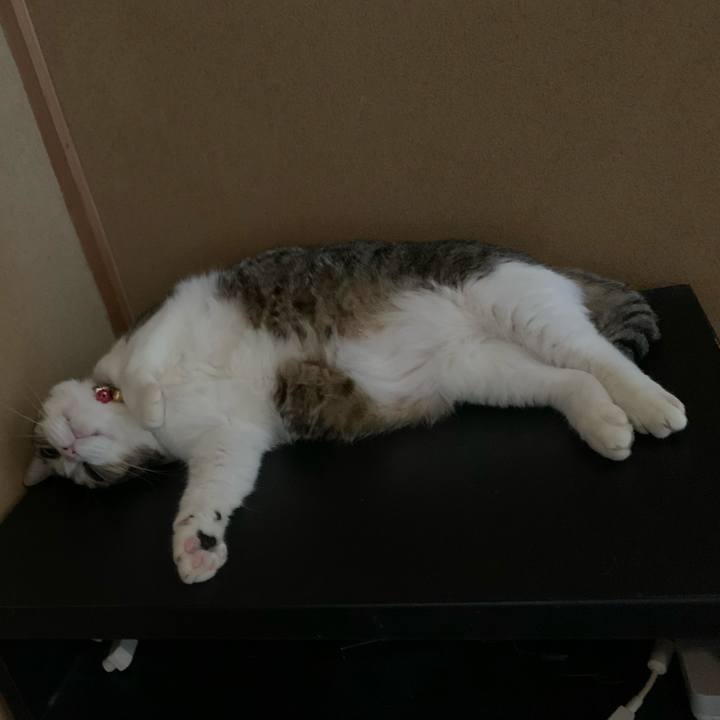 B5f97c6e 431f 47a2 9ac8 747e20515e2d 1597923748561