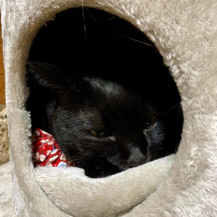 B5f98778 80b4 44b8 bff2 e89ad39ee1b8 1623937170734