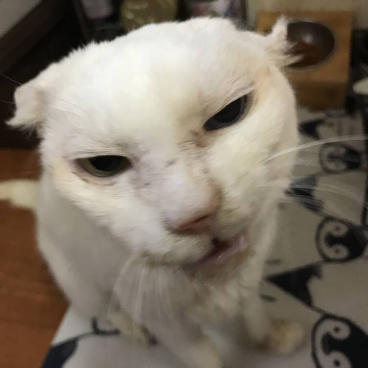 B5f98a39 d19c 48f0 b371 b539df56a44f 1562507976982