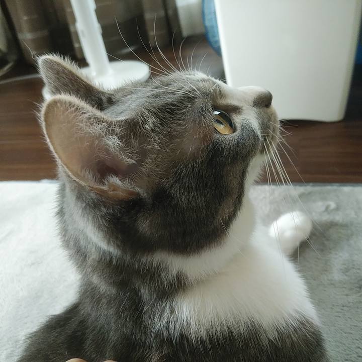 B5f9b9a5 8c0c 4e57 833e 5c681e76a20e 1588200822279