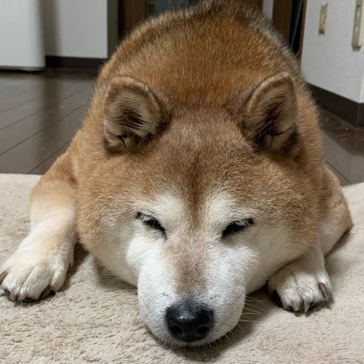 B5f9dbbe abfb 4544 82ca fab727518f5d 1575718650321