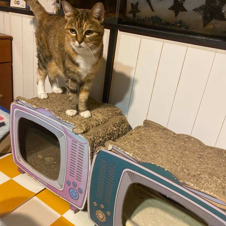 B5fa3a3d a0c8 458d b390 8175efd46991 1697273501313