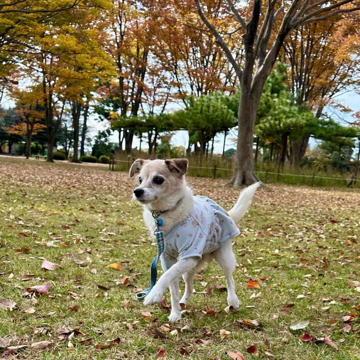 B5faa64a f87e 4372 81dd 3460137a9f9f 1762576986298