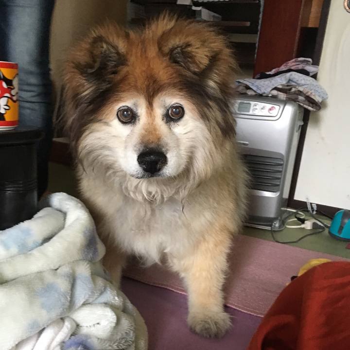 B5fabd7c e2b9 4df5 90d9 4f2343e0894a 1589447994676