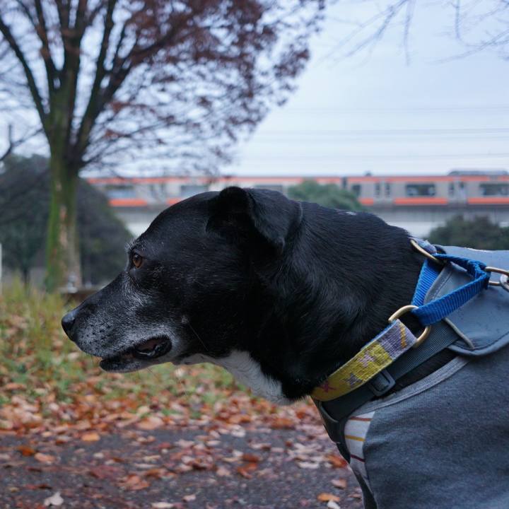 B5fb12f8 ffa8 4e08 9c3a 29663dd9bfce 1766273932878