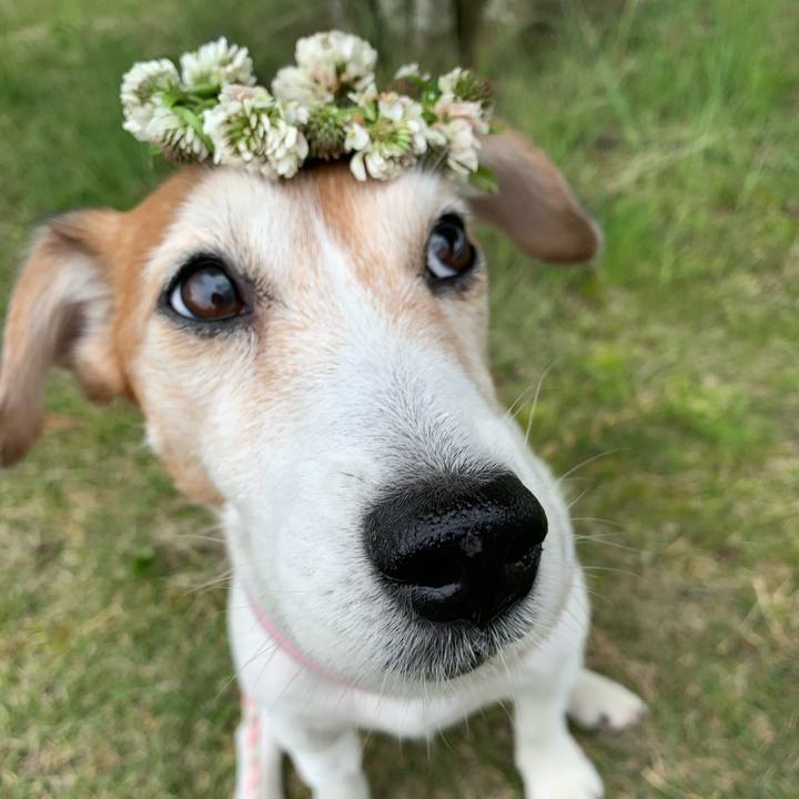 B5fb45b5 5fd9 44fc ac68 411b9a420d5c 1592345187873