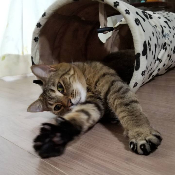 B5fb4943 4914 487b 9578 b06585880ec8 1555041618456