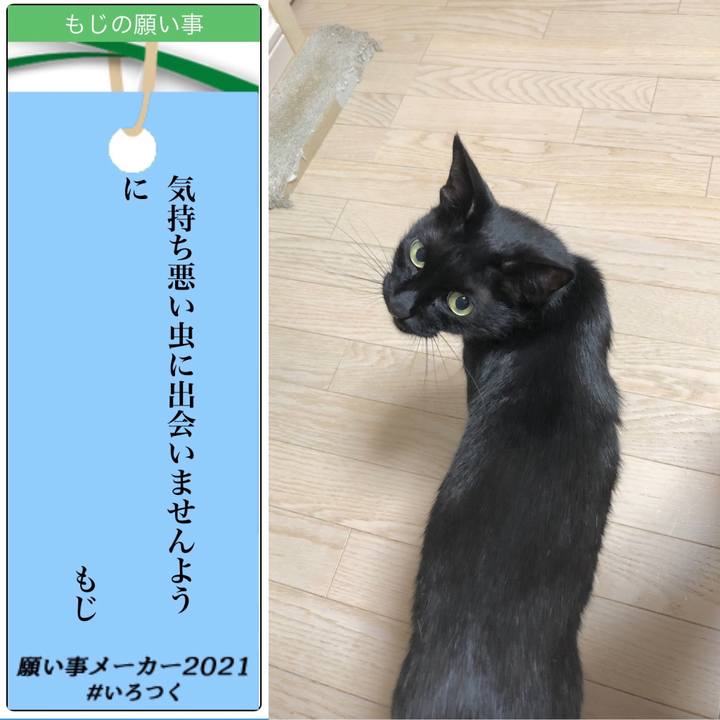 B5fb4e99 241a 4238 9e6d 834e9cd317fd 1625576639503