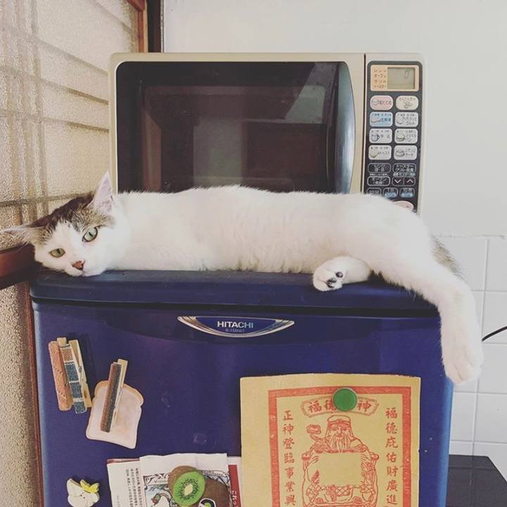 B5fbd347 2126 4993 841a 81962de1dc92 1562722988588