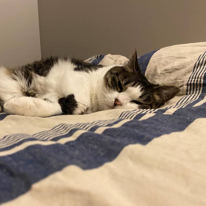 B5fc355d d352 4caf 87ac ccf588a5f125 1751721375257