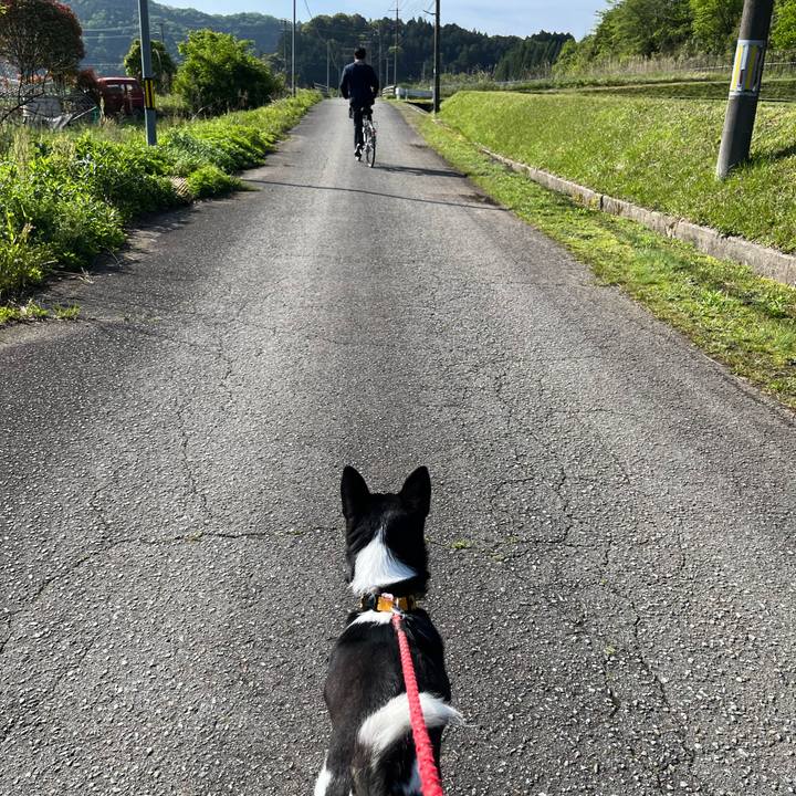 B5fc54cb a894 44bc abda 48dd3f6b1bdf 1683592300578