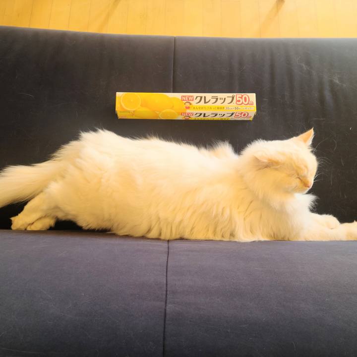 B5fc609d a924 42fa 9a70 b1d67bd61254 1669342526431