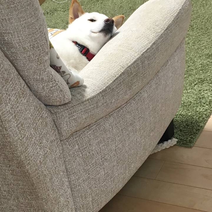 B5fc7073 7a08 4a03 8a1b 8710b3358821 1517824718383