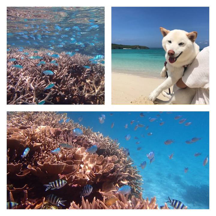 B5fc985e 9da2 44d3 8ae3 769fbff69290 1525519528802