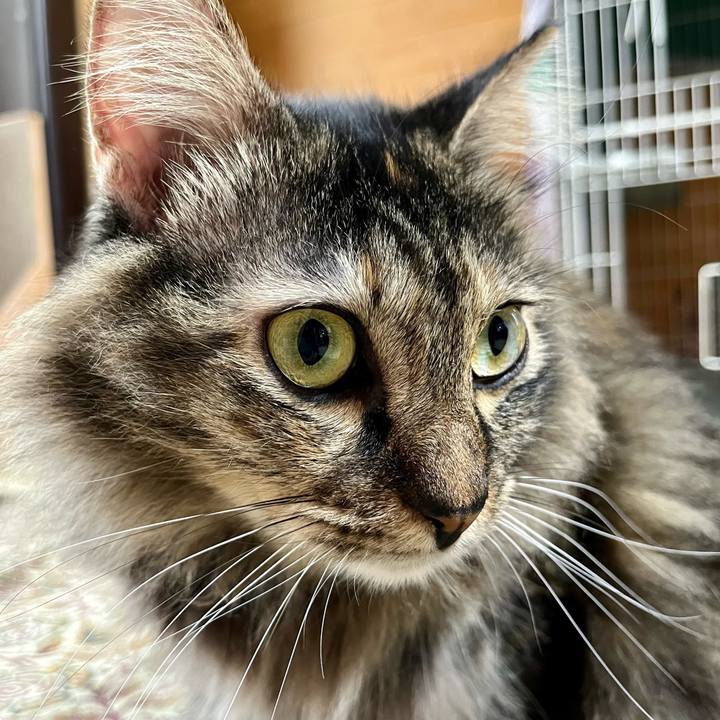 B5fd0265 658f 4c6d b21e b8d86959d8b1 1693615554638