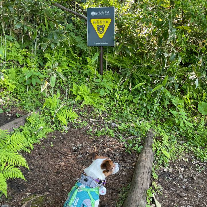 B5fd1111 092a 41d1 bf3a 23a07ca604db 1749277296311