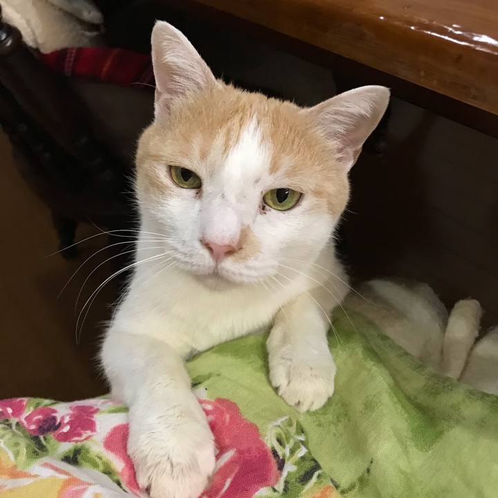 B5fd4a0d e8e8 4bdf 9c75 d8106717004b 1604582504218